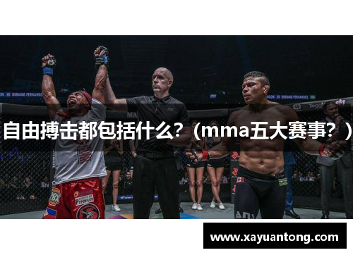 自由搏击都包括什么？(mma五大赛事？)